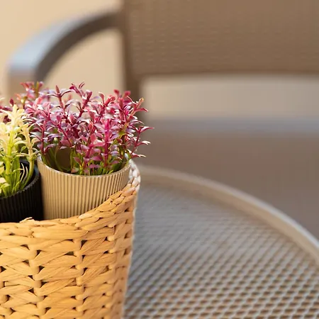 Glamorous, Renovated 3-bedroom In * 尼科西亚